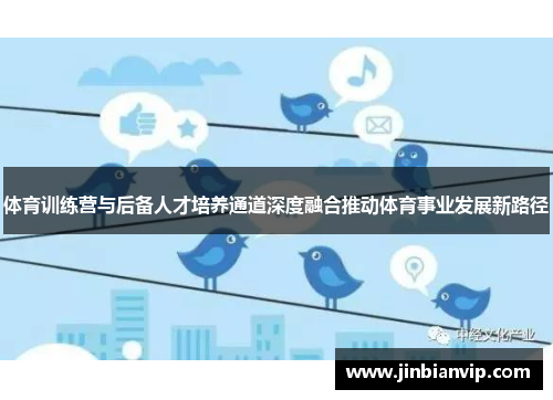 体育训练营与后备人才培养通道深度融合推动体育事业发展新路径